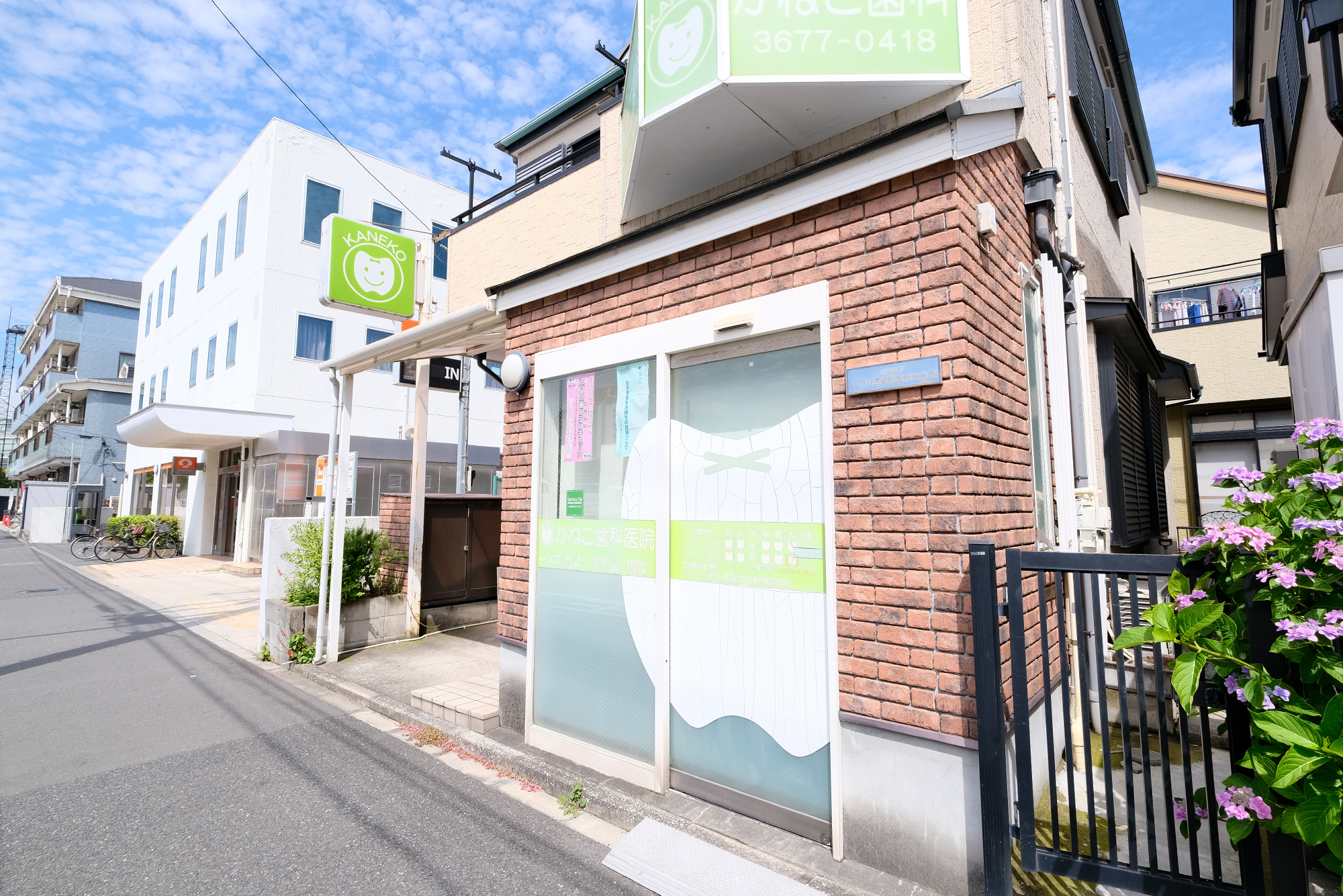 Link main z66158 20250604 6 1