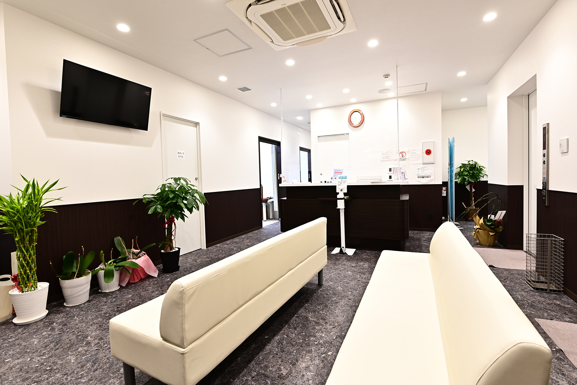 20211025 main