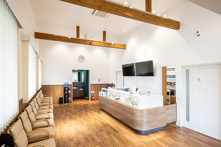 Link 4 z64247 20250313 0057