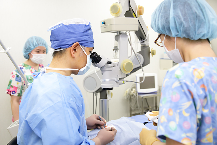 Link 3 kamezawa ganka 0154