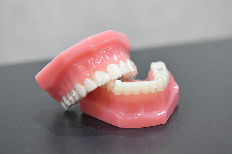 Link 3 z65480 20250512 6