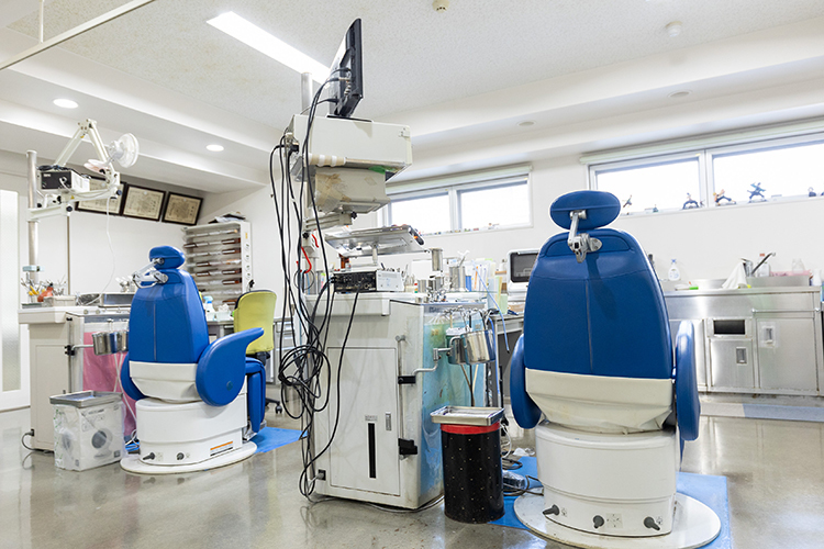 Link 1 z64069 20250228 014