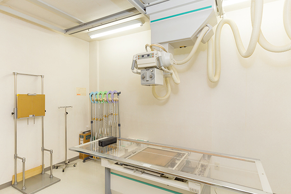 Link 2