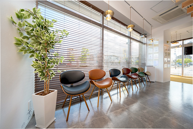 Link 4 z59477 20240719 006