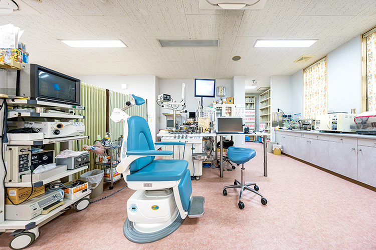 Link 1 z68011 20250929 0001