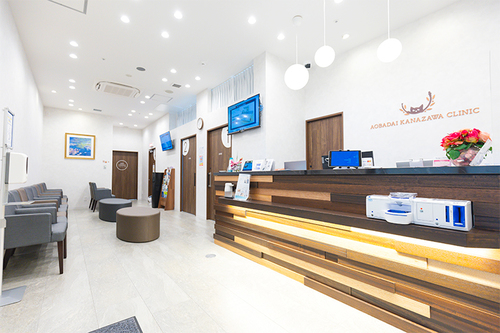 がんを治す内視鏡の名医大事典―最新科学と熟達の技で早期発見・治療の374人 Cancer overlooked?!