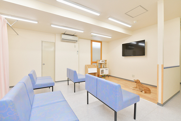 大島美穂子院長 おおしま小児科アレルギー科1