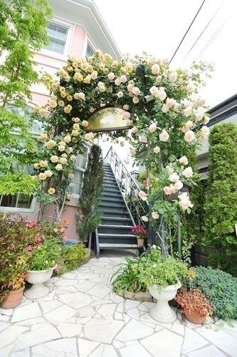 丹羽和賀美院長 和みのクリニック1