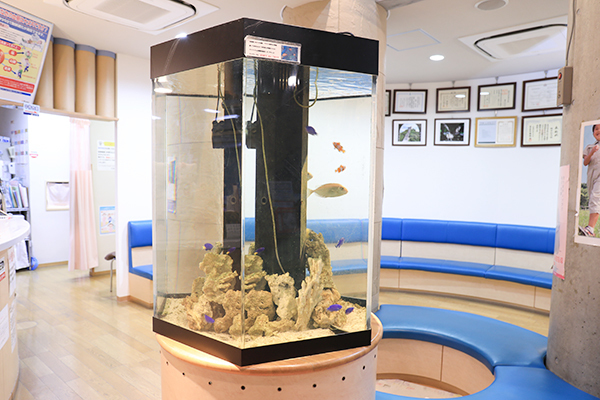 隈井知之院長 くまい医院1