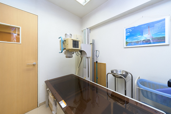 橋本雄幸院長 汐留みらいクリニック3