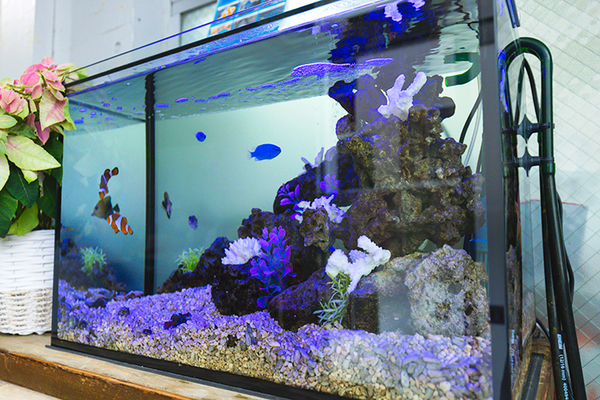 細谷眞澄院長 安井医院4