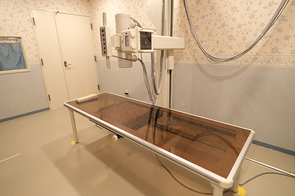 蔡岳泰院長 花野井クリニック4