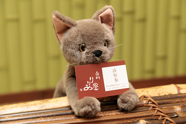 山下真有美院長 歯科 りりあ堂5