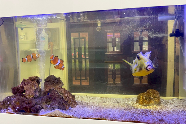 埴英郎院長 愛生歯科5