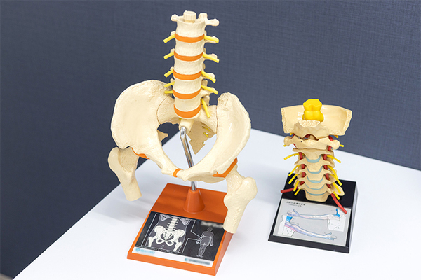 渡邊匡能理事長 わたなべ整形外科クリニック5