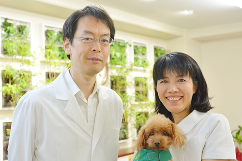 炎症性腸疾患の外科治療 佐々木 巌 炎症性腸疾患の外科治療 | 佐々木 巌 |本 | 通販 | Amazon