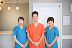Icon nz6 0237