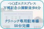 Icon gaikan day