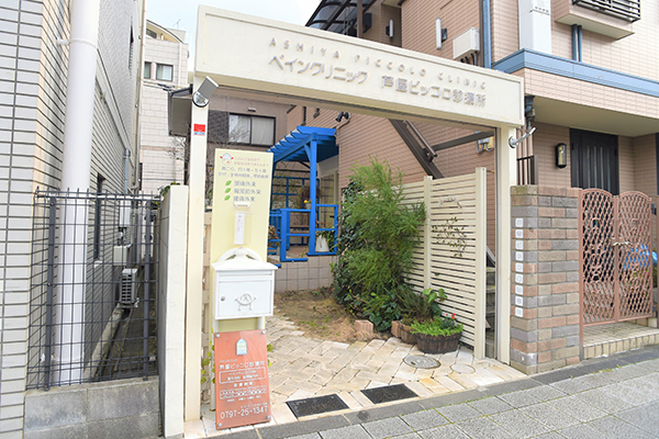 ペインクリニック芦屋ピッコロ診療所 芦屋市 芦屋駅 ドクターズ ファイル