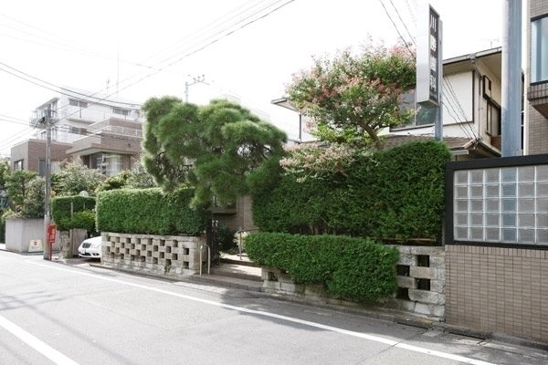 深い歴史とともにどっしりと根をおろす松が迎えてくれる 27834 ma 5 1351212733