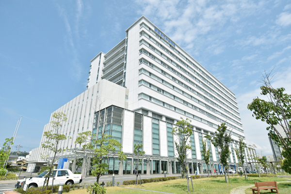 Cs1