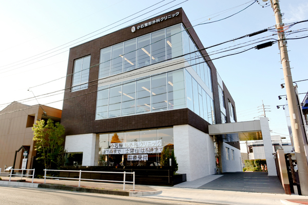 Cs1