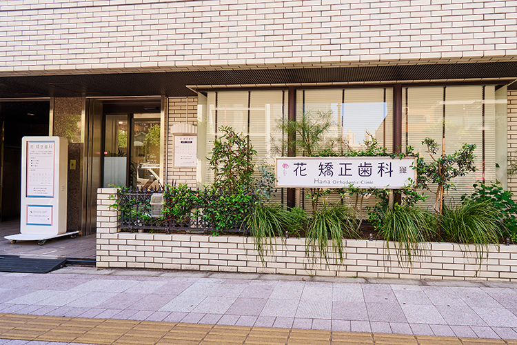 花 矯正歯科 大井町 品川区 大井町駅A2番出口から徒歩3分