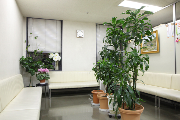 吉田内科 名古屋市中区 緑が置かれた待合室。待ち時間の過ごしやすさを考慮して