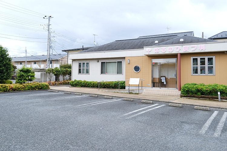はるのひ皮フ科 上尾市 春日クリニックモール内に2025年開院した「はるのひ皮フ科」