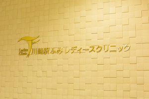 川崎駅ふみレディースクリニック 川崎市川崎区