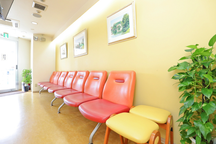 青木クリニック 江戸川区 入り口から光が差し込む落ち着く院内