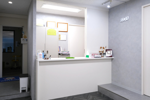 牛久保矯正齒科 八王子市