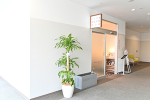 いちのせ形成外科皮膚科 眼瞼フェイスクリニック 尼崎市