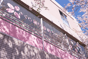 さくら通り歯科クリニック 松戸市