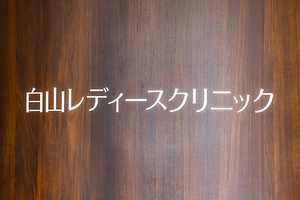 白山レディースクリニック 文京区