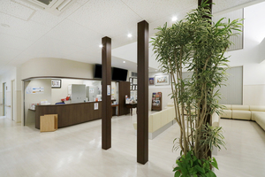 河田外科脳神経外科医院 松山市