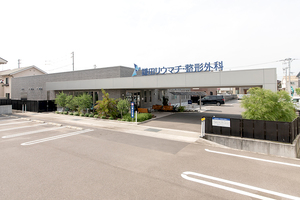 鎌田リウマチ・整形外科 松山市