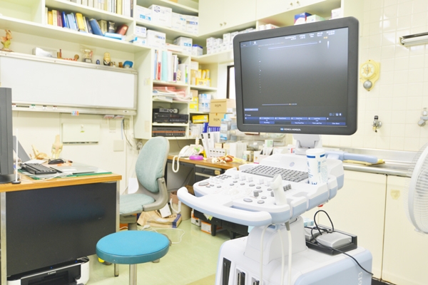 超音波機器など画像を見ながらより精密な診断が可能 13304 ma 2 1372324923