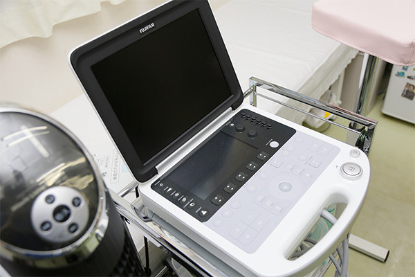 超音波エコーを備えている 2