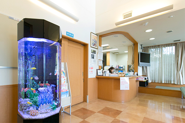 熱帯魚が展示されている明るい雰囲気の待合室 2