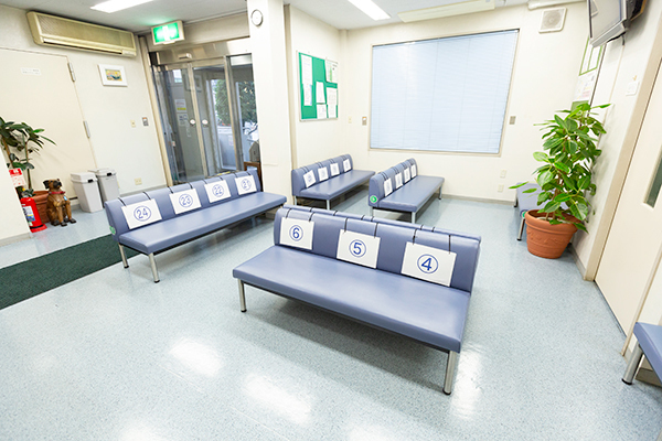 院長の評判を聞き遠方からも連日患者が訪れている 2