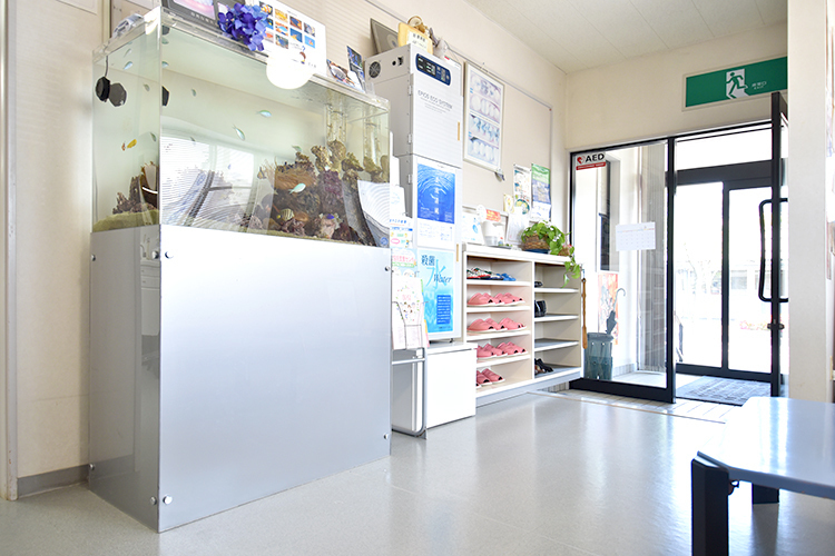 竹内歯科クリニック 新潟市江南区 待合室にはきれいな水槽