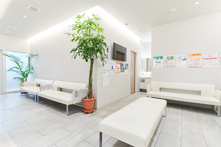 うえのとしあき脳神経クリニック板橋 板橋区 院長こだわりの院内。落ち着いた雰囲気が心を癒やす