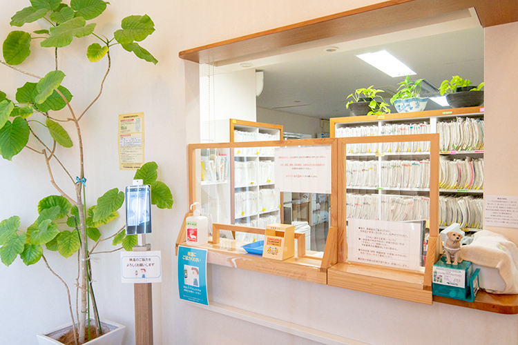 上野毛眼科 世田谷区 観葉植物が置かれた受付。温かみのある雰囲気となっている