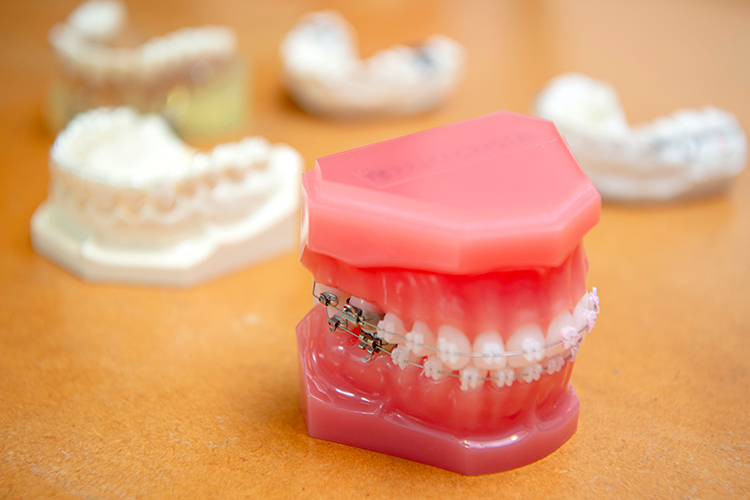 渡辺矯正歯科 武蔵野市 頼れるスタッフたちは、各分野のスペシャリストぞろい