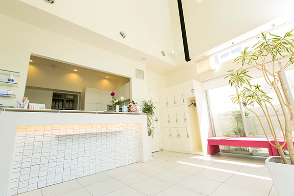 松下歯科医院 大府市 光をたっぷりと取り込み、清潔感あふれる開放的な待合室