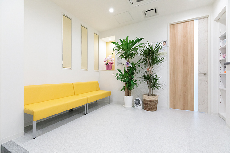 オーラルクリニックあさひろ 横浜市港南区 明るく、落ち着いた雰囲気の待合室