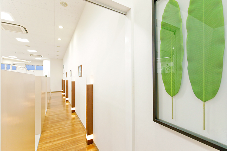 ふじかわ歯科医院 草加市 清潔感にあふれ、ゆったりとした院内