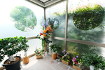 秋山歯科医院 佐賀市 色鮮やかな花たちが、院内のさまざまなところに飾られている