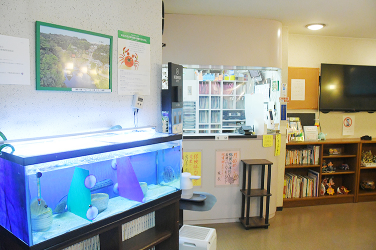 ほりえ歯科医院 印西市 受付に隣接する水槽が、来院時に目を楽しませてくれる
